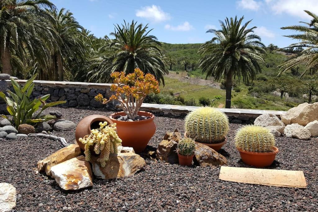 Casa Tara Ruhe Und Entspannung, Natur Pur Acardece Exterior foto